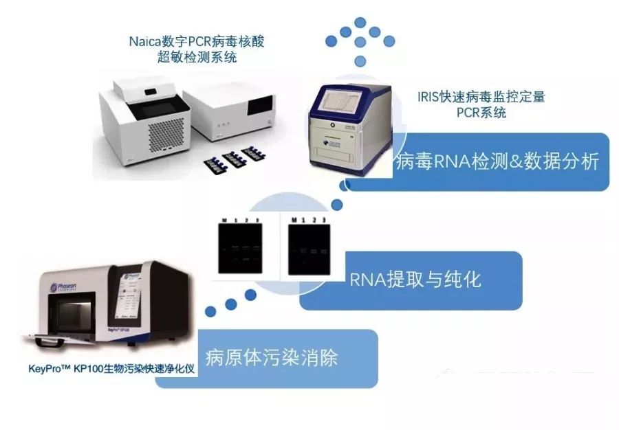 1605593454352728.jpg 797594b814252053dad7310f5de34b6f.jpg